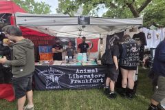 Aufest2026_7
