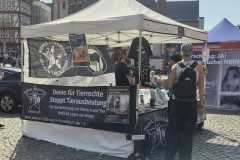 DemoTierversuche20260418_05