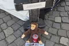 DemoTierversuche20260418_12